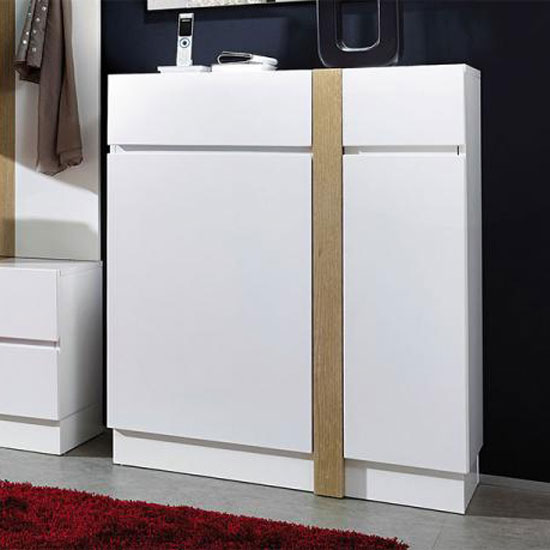 5 Reasons To Get A Shoe Storage Cabinet In White Gloss