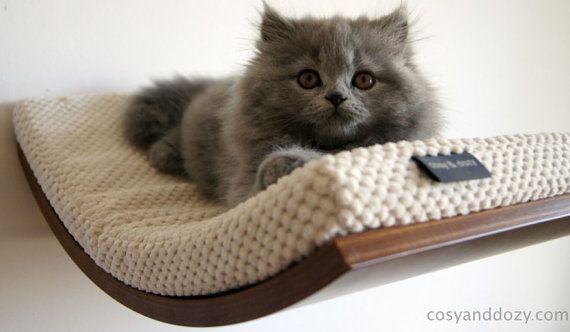 What Type Of Furniture Is Best With Cats: 6 Things To Remember